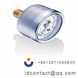 MTR1-F50.B21_Bourdon Stainless Stee